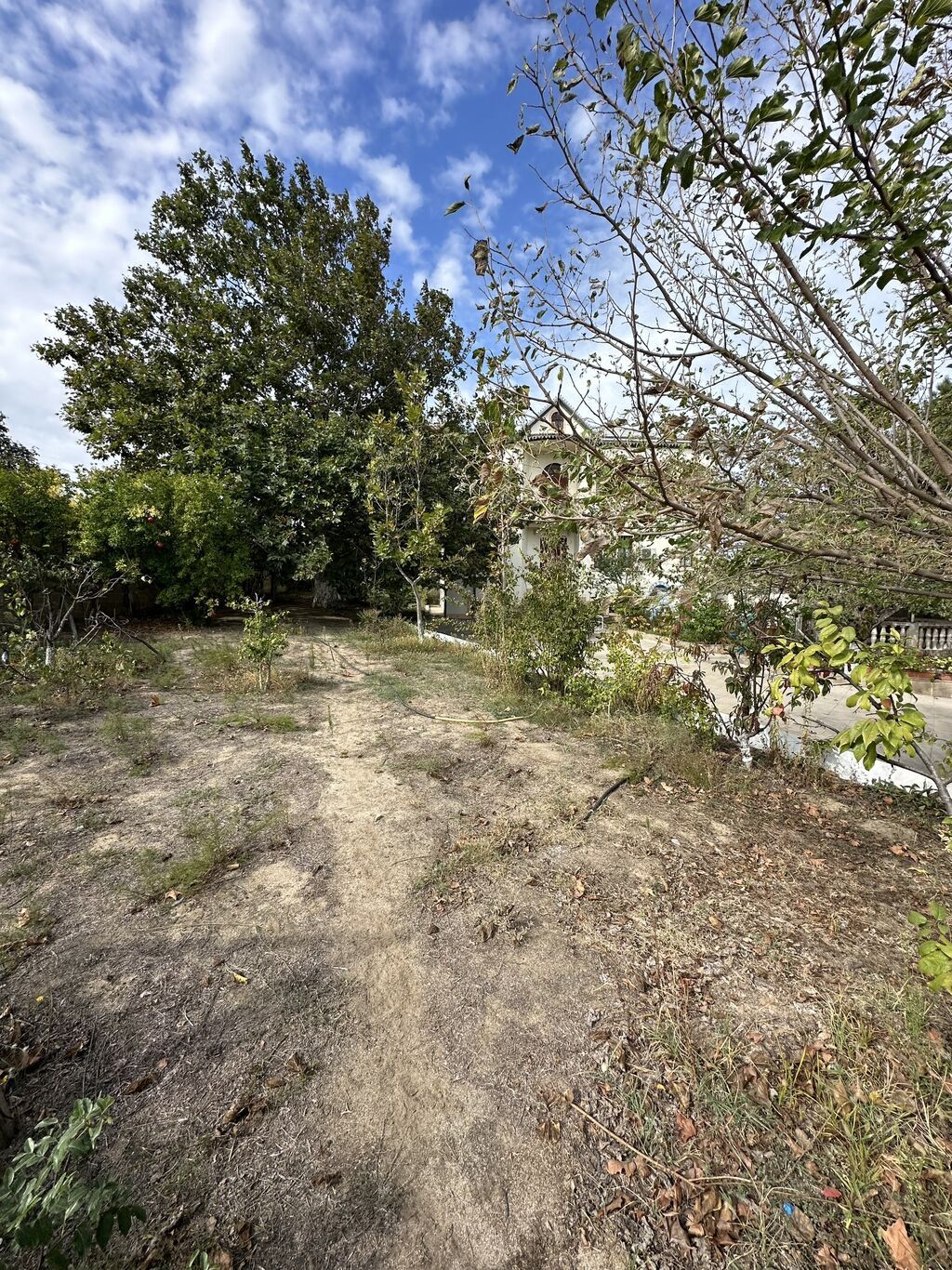 Digah, 360 kv. m, 6 otaqlı, Hovuzlu, Kombi, Qaz, İşıq — Ev, villa, Digah (5)