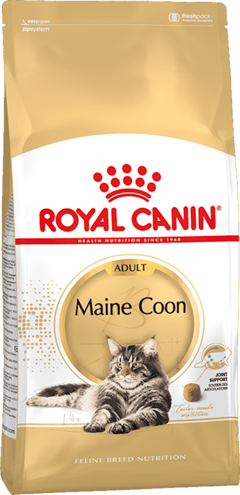 Quru yem Royal Canin Maine Coon Adult Meyn-kun cinsli pişiklər üçün 15 aydan, 2 kg — Bakı