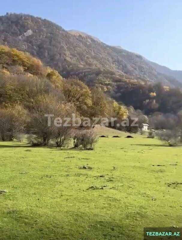 Oğuzda 81-sot — Torpaq, Bakı (8)