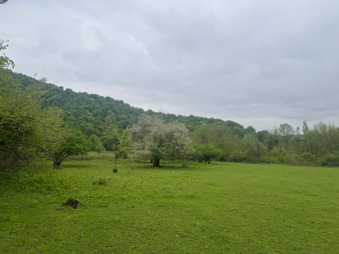 Satılır torpaq 71 sot — Torpaq, Qəbələ (4)