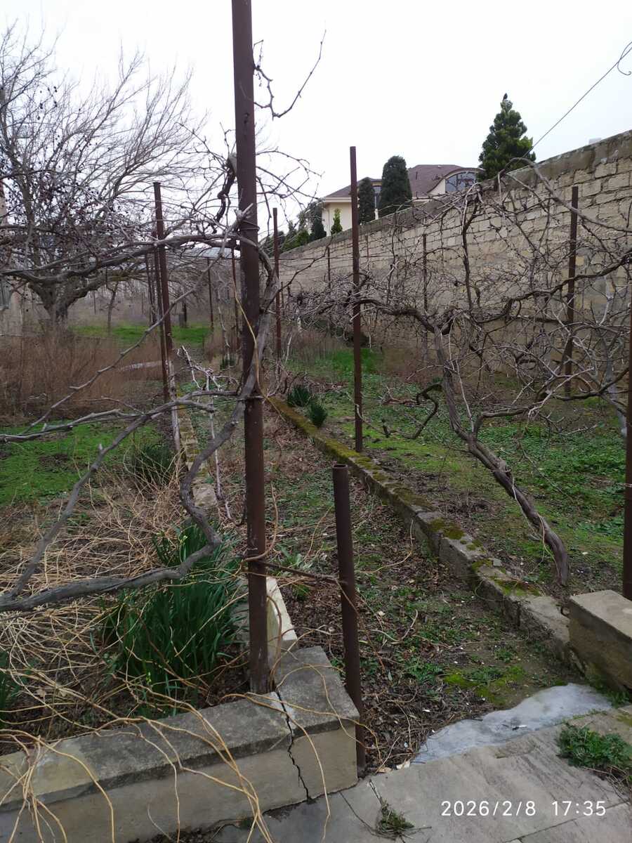 Satılır torpaq 25 sot — Torpaq, Bakı (3)