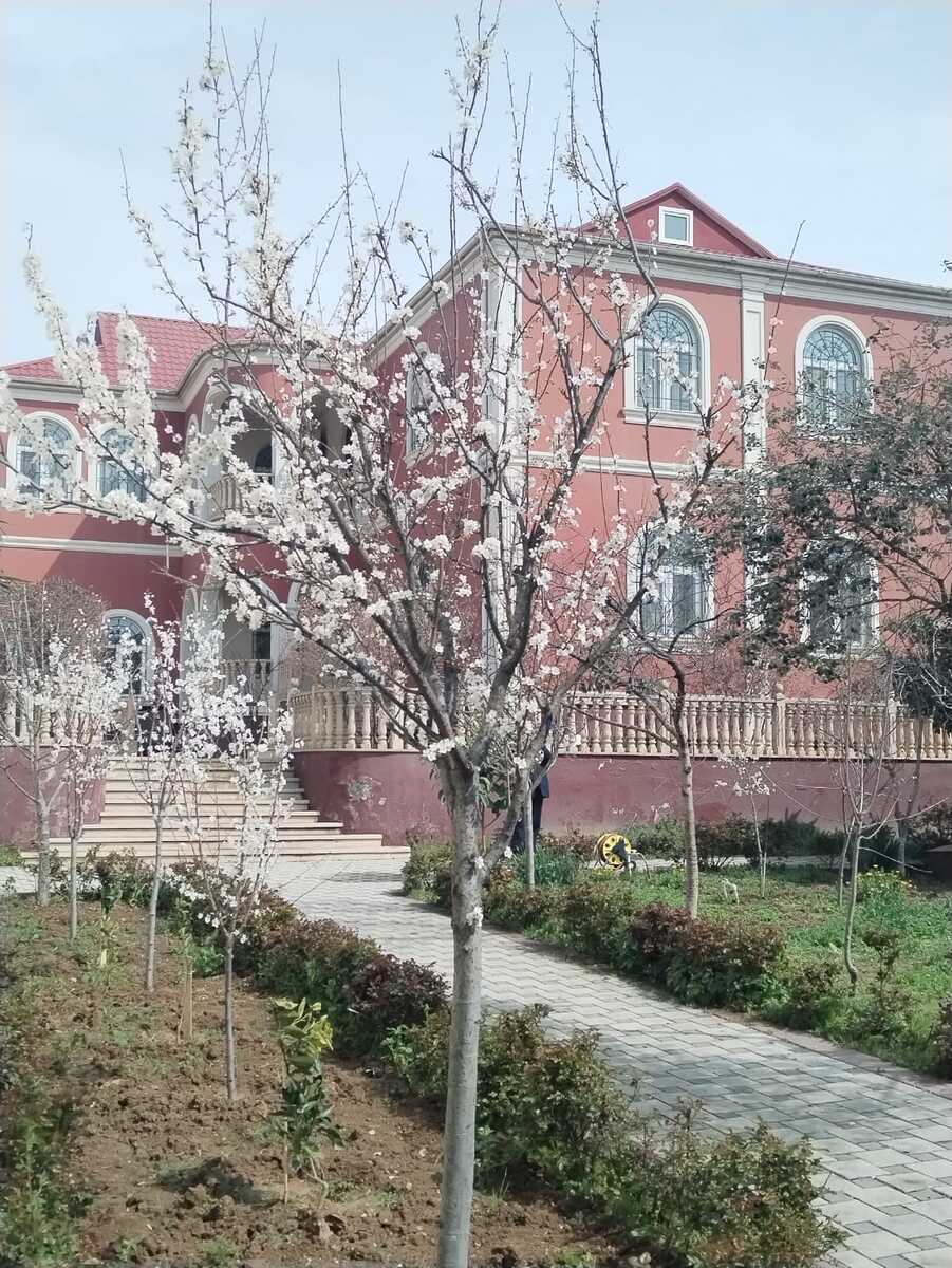 Satılır 10 otaqlı həyət evi/bağ evi 650 m² — Ev, villa, Bakı