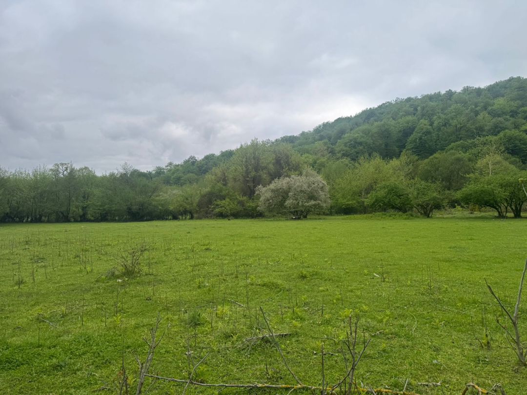 Satılır torpaq 71 sot — Torpaq, Qəbələ (8)