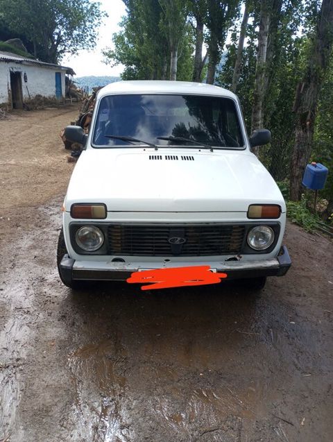 Lada (VAZ) Niva, 1.6 L, 2001 il, 164 230 km — Lənkəran