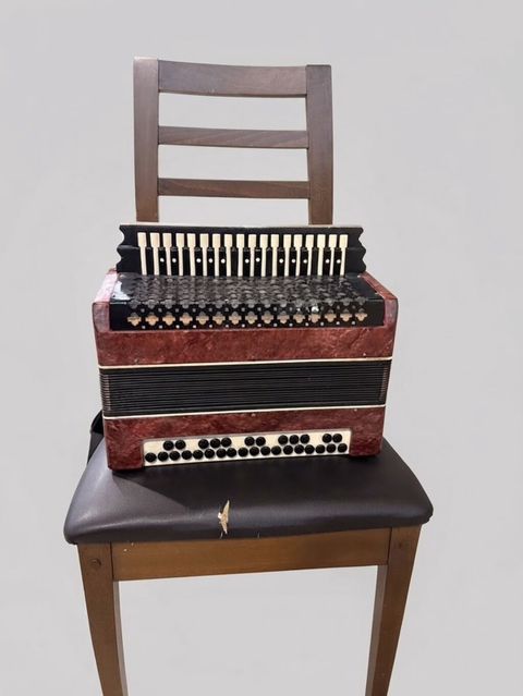 Akustik Akkordeon, Yeni — Qax