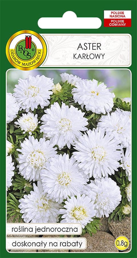 Çiçək toxumları Pnos Aster Karlowy, ağ, 0.8 q — Bakı