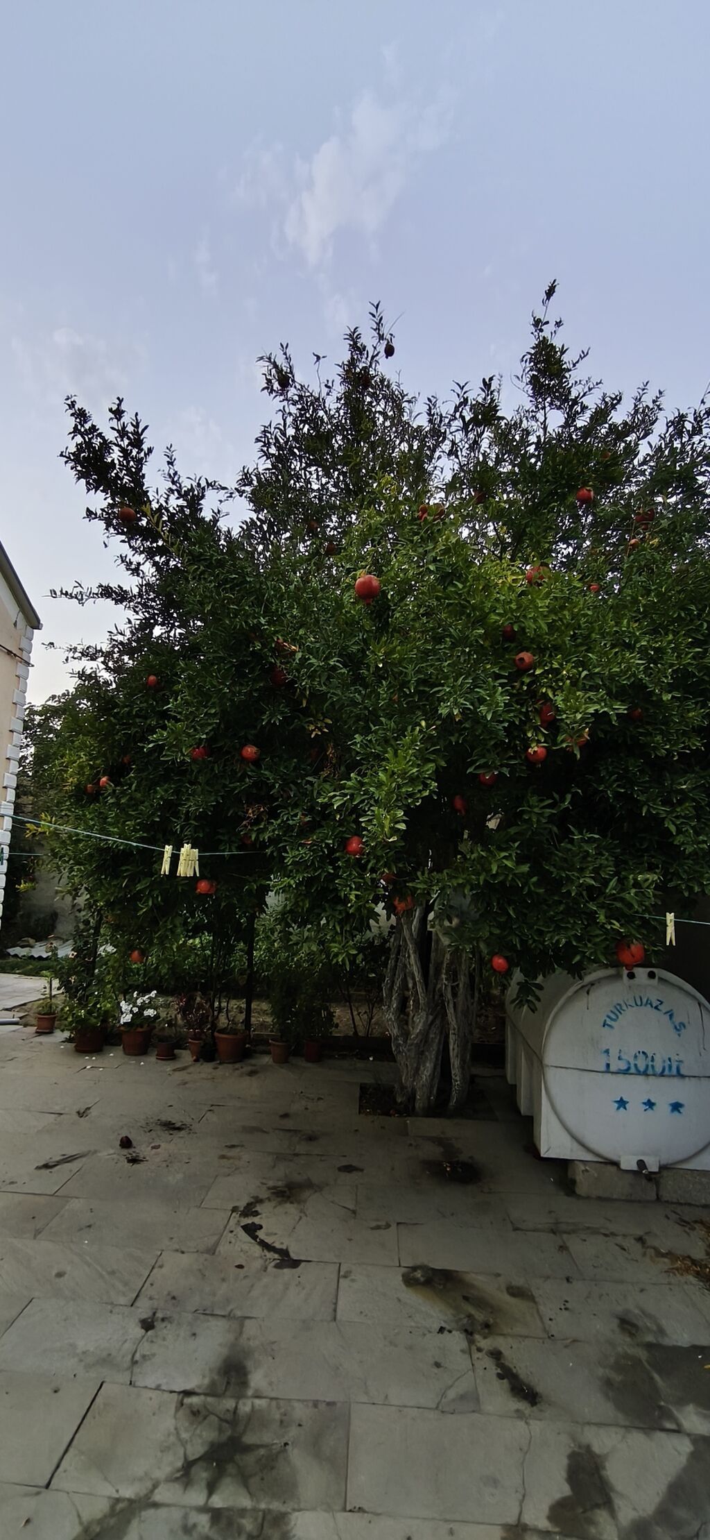Binə 4 otaqlı, 171 kv. m, Kredit yoxdur, Yeni təmirli — Ev, villa, Bakı (10)