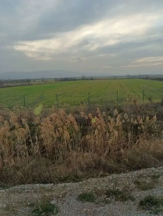 700 sot Torpaq Satılır, Şabran — Şabran