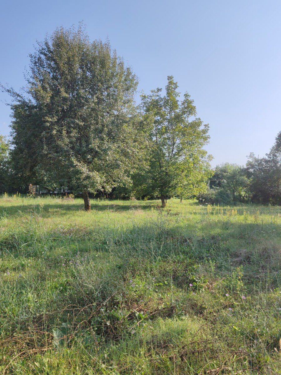 Satılır torpaq 22 sot — Torpaq, Qəbələ (2)