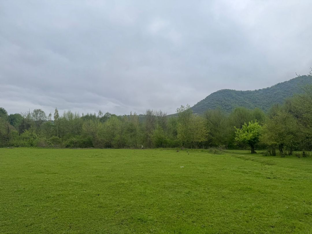 Satılır torpaq 71 sot — Torpaq, Qəbələ (2)