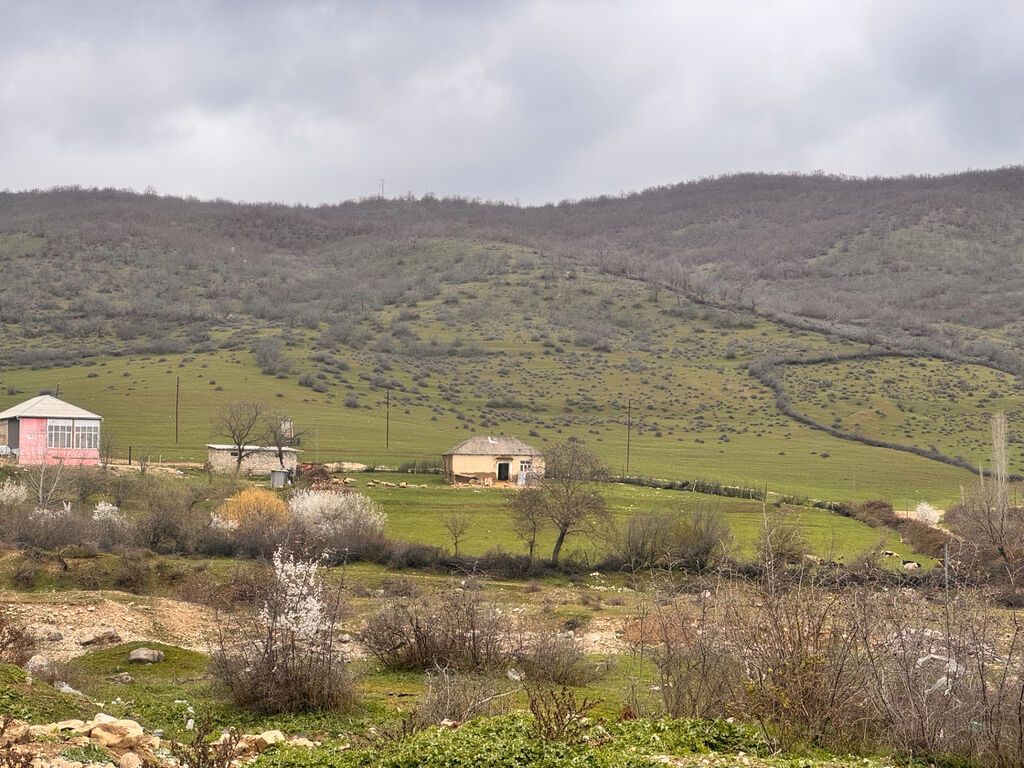 Şabranda Pirədəbil kəndinə gedən, Shabran Wellbeing Resort otel — Torpaq, Şabran (4)
