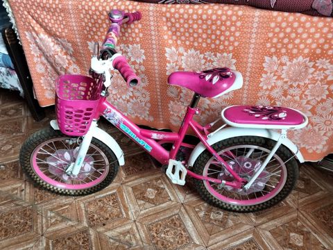 İki velosiped satılır iksi birlikde 50 azn normal vezyetdedir tek tek — Bakı