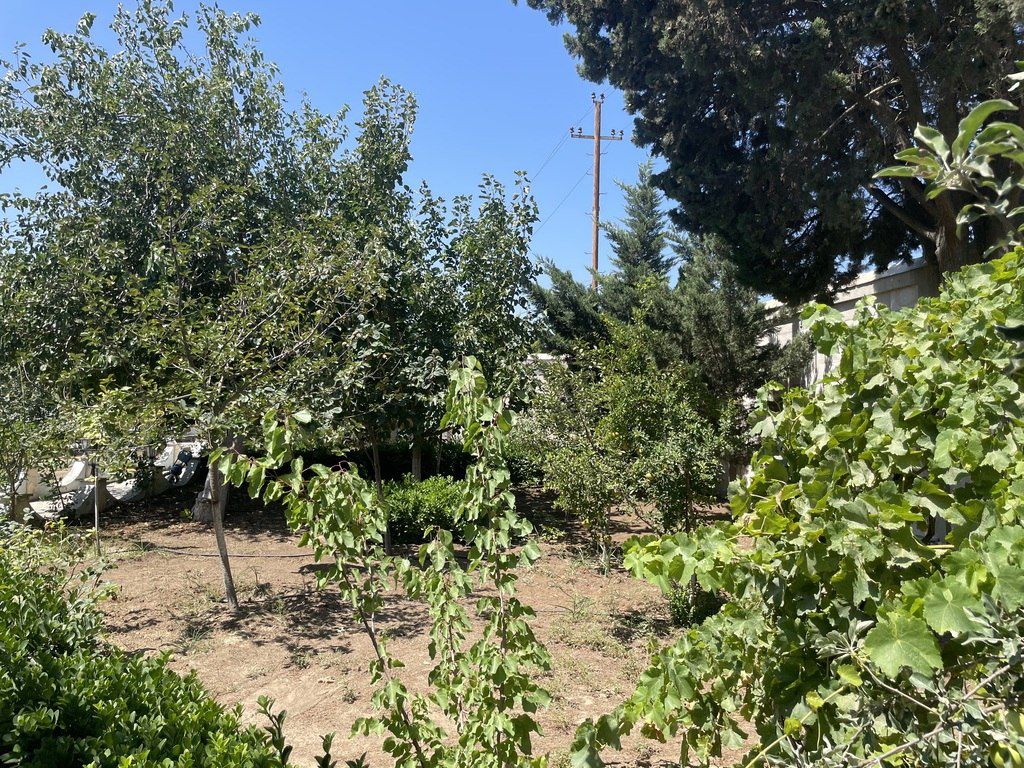 Satılır 7 otaqlı həyət evi/bağ evi 250 m² — Ev, villa, Bakı (9)
