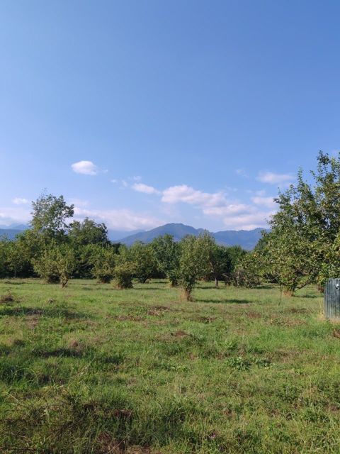 Satılır torpaq 22 sot — Qəbələ