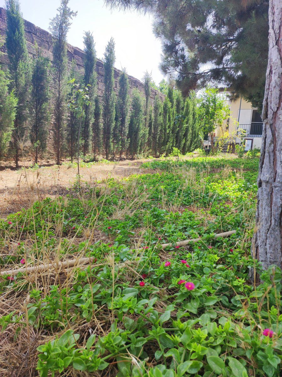 Satılır 4 otaqlı həyət evi/bağ evi 160 m² — Ev, villa, Bakı (3)