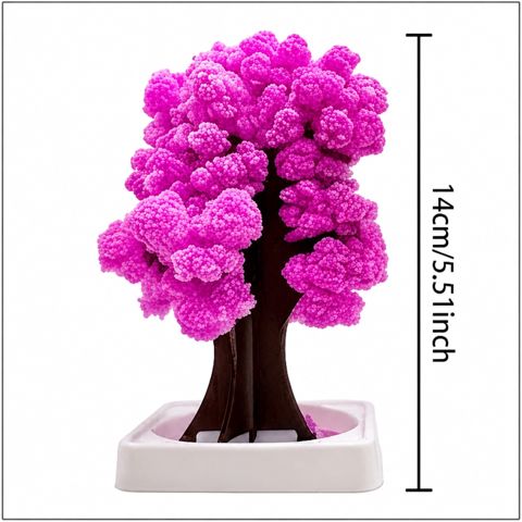 Suvenir 9471 — Bakı