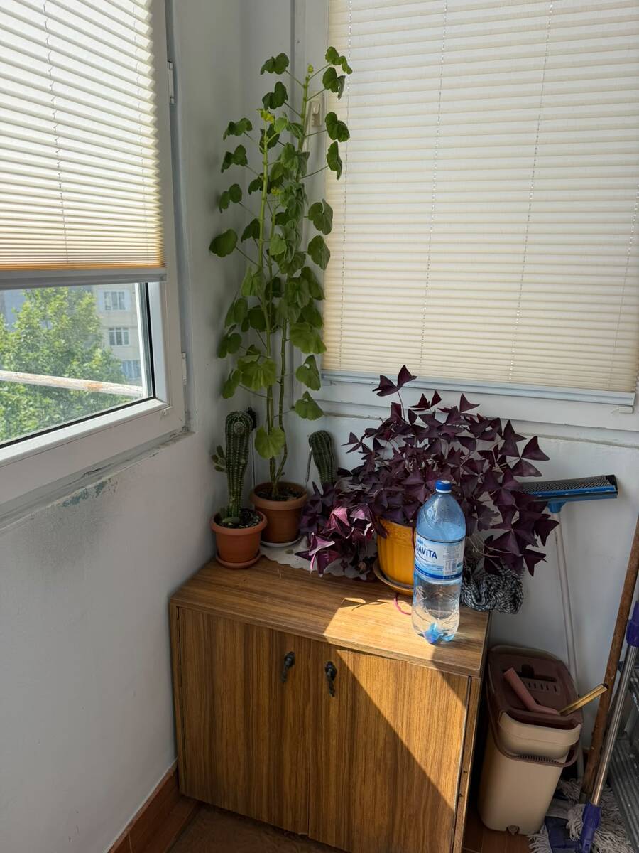 Satılır 3 otaqlı köhnə tikili 95 m² — Mənzil, Bakı (3)