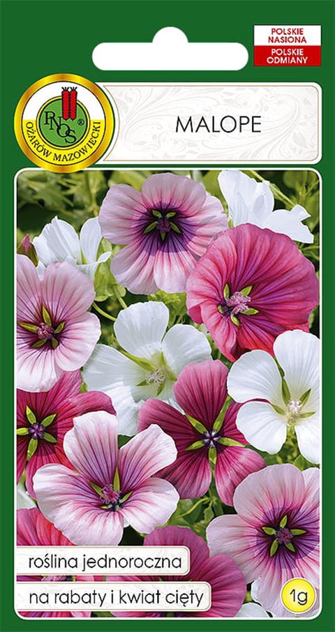 Çiçək toxumları Pnos Malope 1 q — Bakı