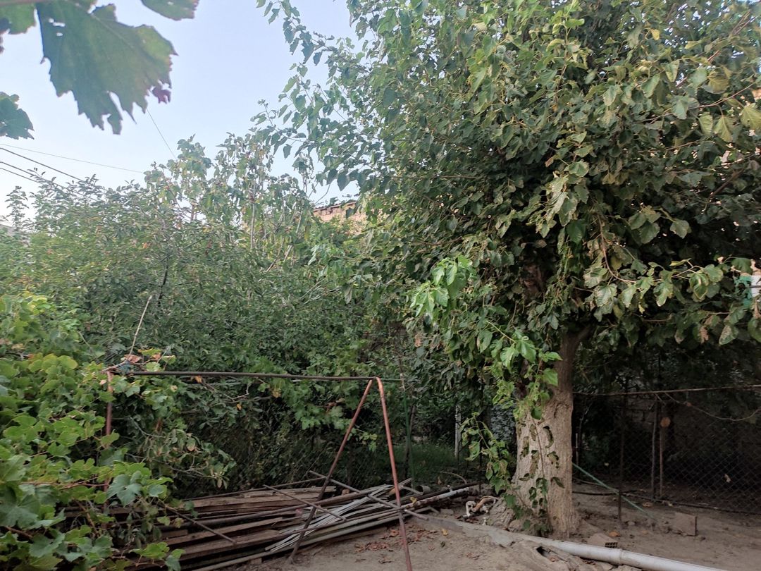 Satılır 5 otaqlı həyət evi/bağ evi 207 m² — Ev, villa, Bakı (10)