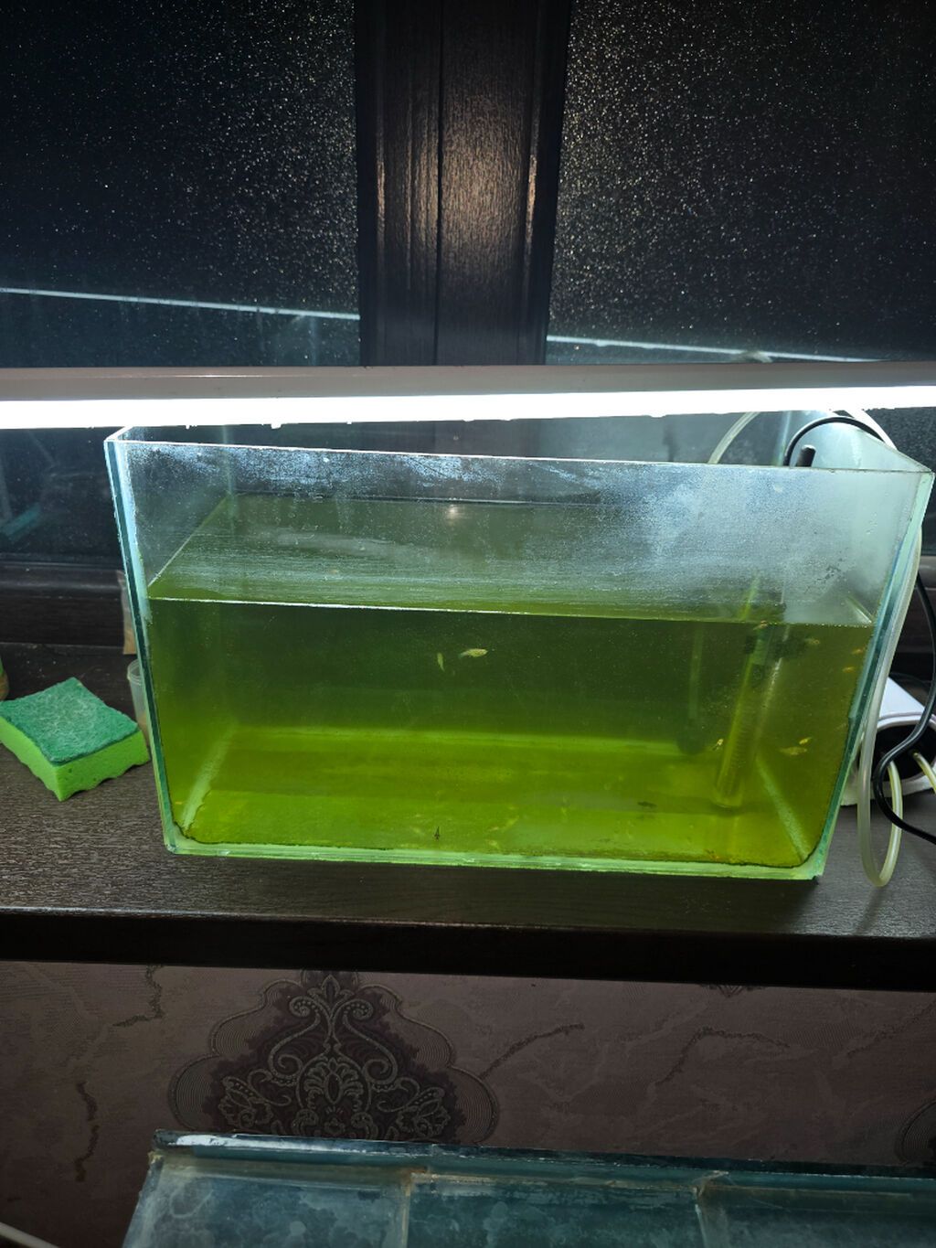 Dördbucaq akvarium, Boş, 20 l, Ünvandan götürmə — Akvariumlar və balıqlar, Gəncə