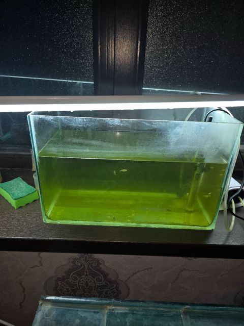 Dördbucaq akvarium, Boş, 20 l, Ünvandan götürmə — Gəncə