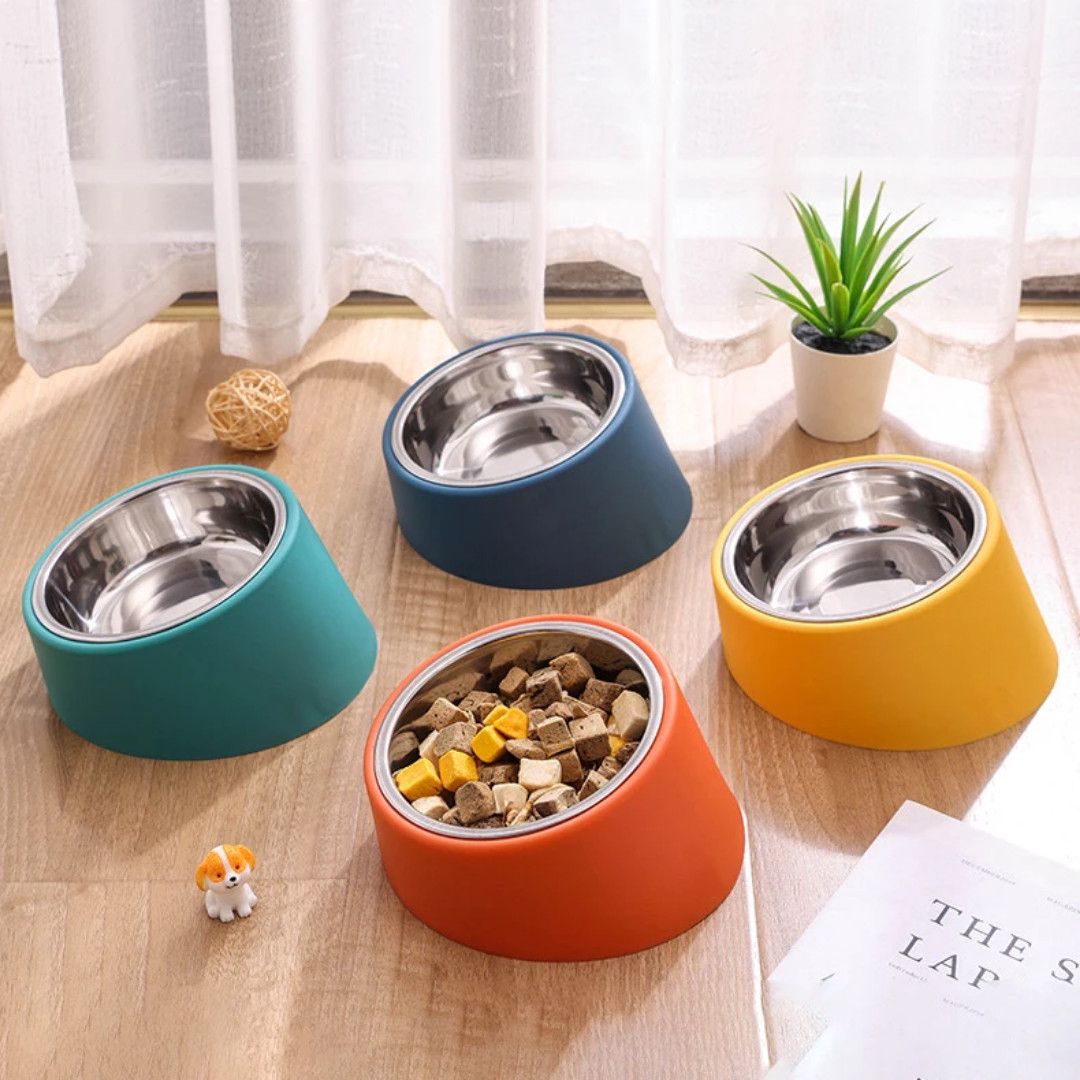 Yem kasası Tilted Pet Bowl, narıncı — Mallar, Bakı (2)