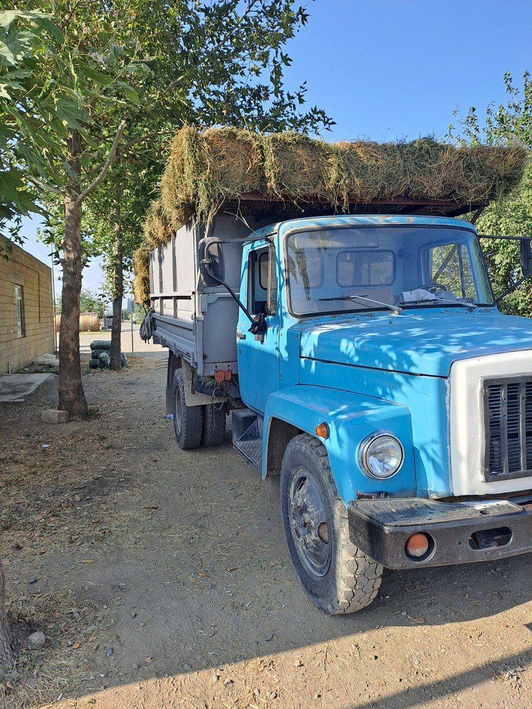 GAZ 53, 4.3 L, 1994 il, 257 694 km 57-BP-231 — Yük maşınları, Şəmkir (2)
