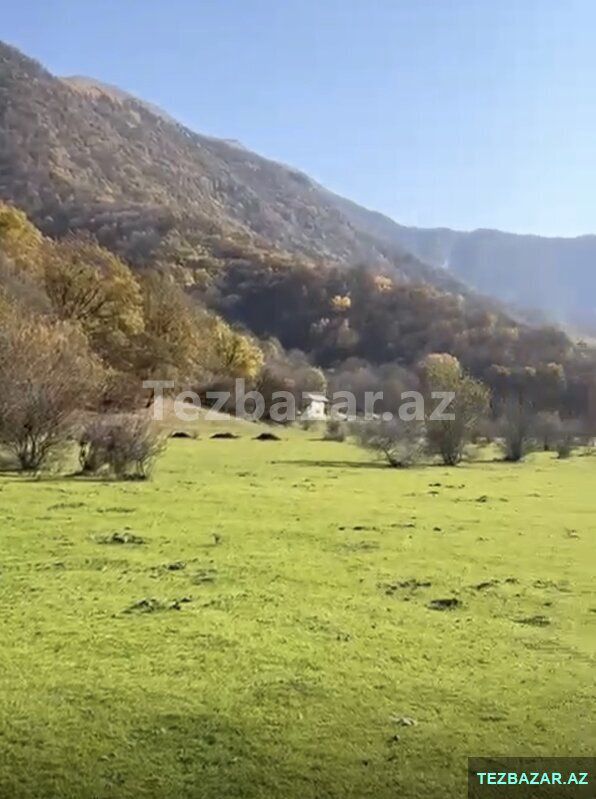 Oğuzda 81-sot — Torpaq, Bakı (2)