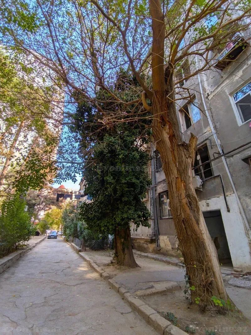 Satılır 3 otaqlı Mənzil Köhnə tikili 57 m² Bakı, Nəsimi r., 20 Yanvar m — Mənzil, Bakı (7)
