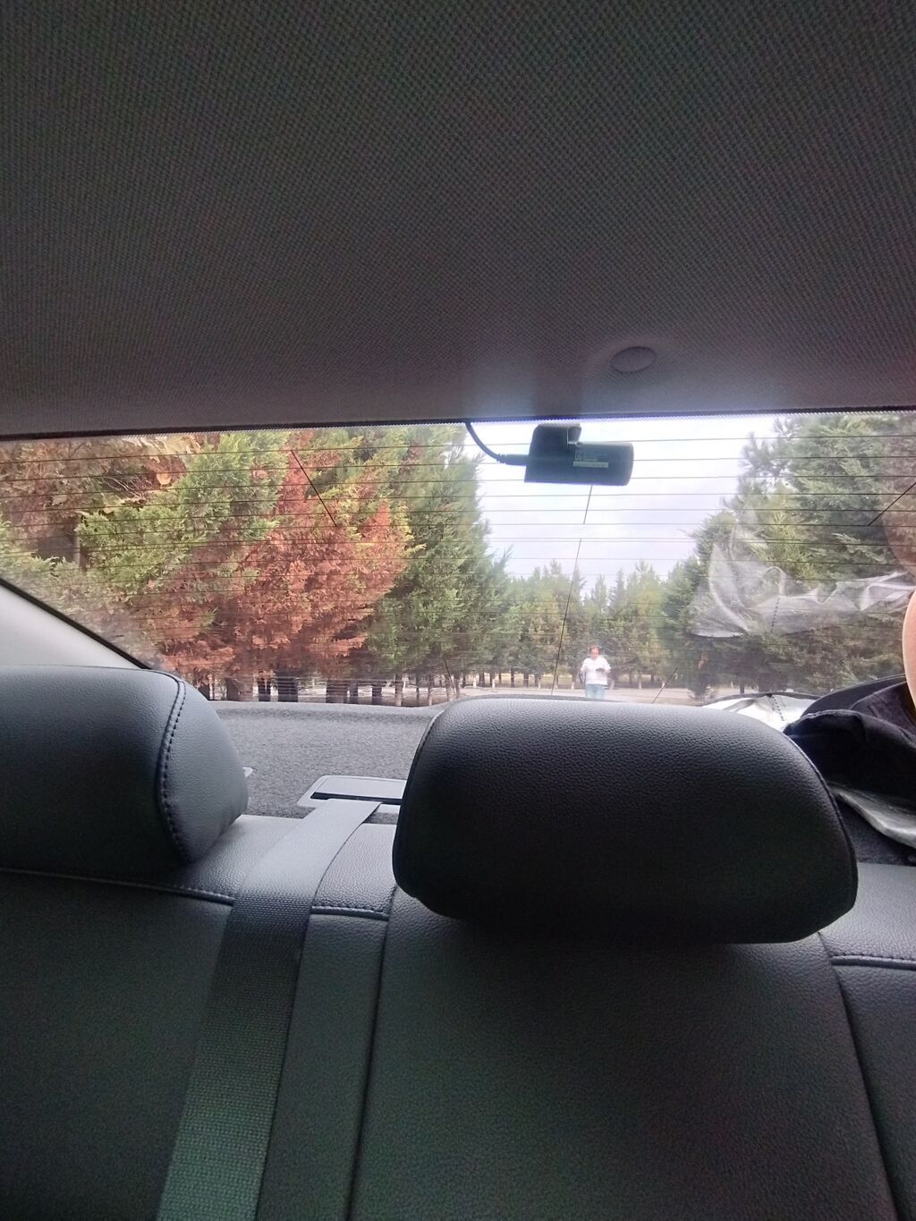Hyundai Avante: 1.6 l 2016 il Sedan 01-CQ-130 — Avtomobillər, Ceyranbatan (7)