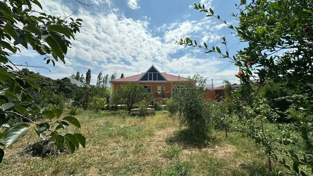 4 otaqlı Həyət evi Satılır, Şabran — Ev, villa, Şabran (6)