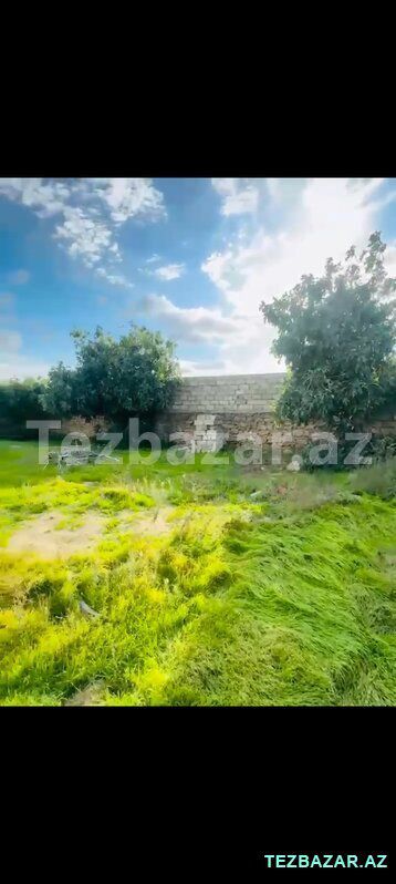 Buzovna 11 sot kupçalı torpaq satılır — Torpaq, Bakı (3)
