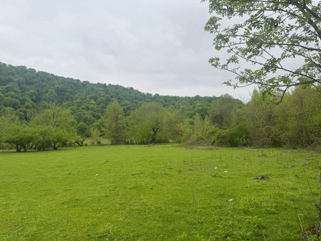 Satılır torpaq 71 sot — Torpaq, Qəbələ (7)