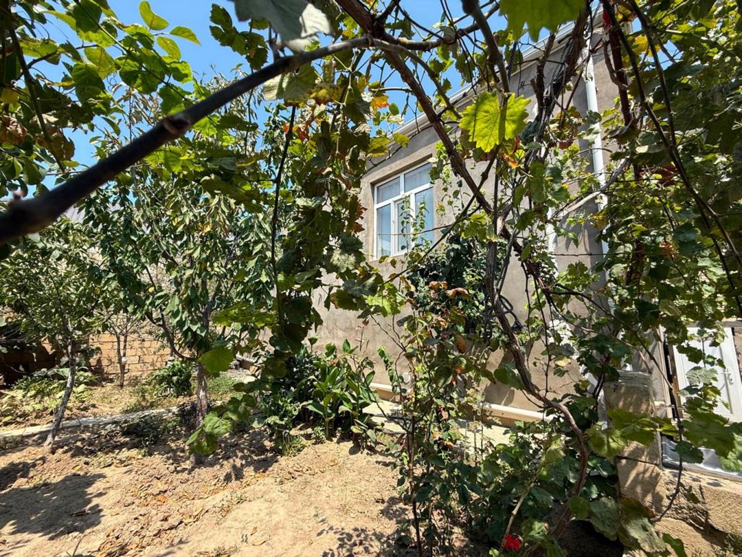 Satılır 3 otaqlı həyət evi/bağ evi 120 m² — Ev, villa, Bakı (12)