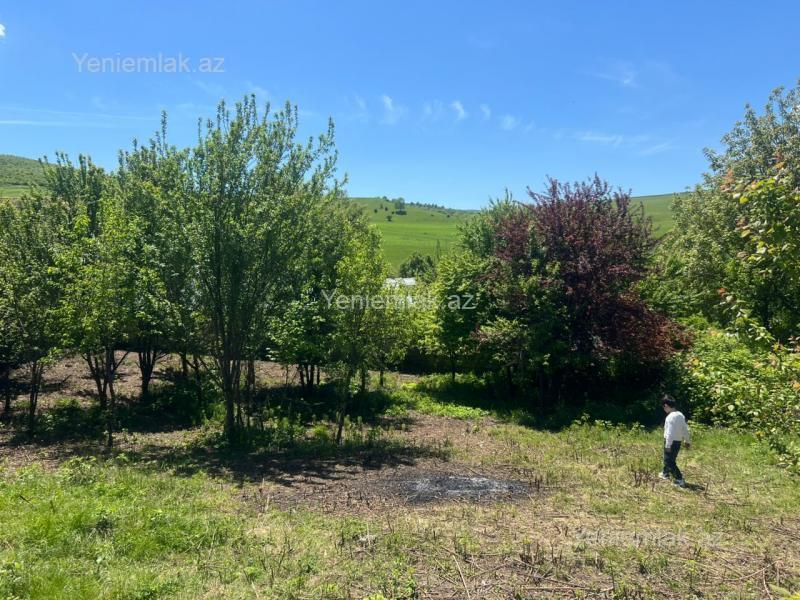Satılır Torpaq sahəsi, 6 sot, İsmayıllı — Torpaq, İsmayıllı (4)