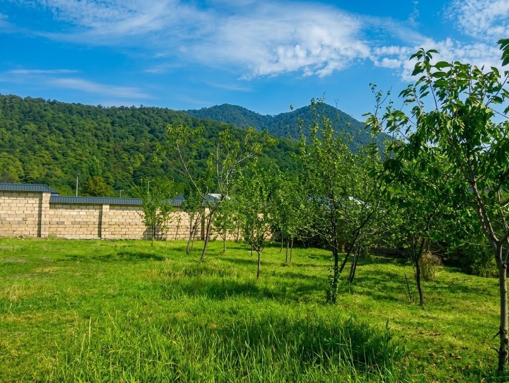 200 kv. m, 4 otaqlı, Kombi, Qaz, İşıq — Ev, villa, Qəbələ (2)
