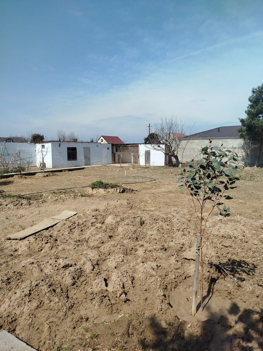 Satılır 4 otaqlı həyət evi/bağ evi 120 m² — Ev, villa, Bakı (3)