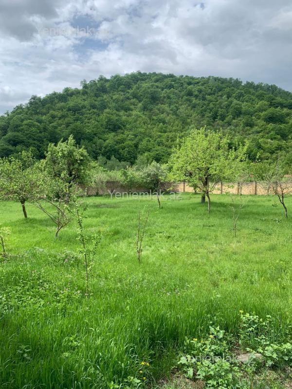 Satılır Torpaq sahəsi, 15 sot, Qəbələ — Torpaq, Qəbələ (2)