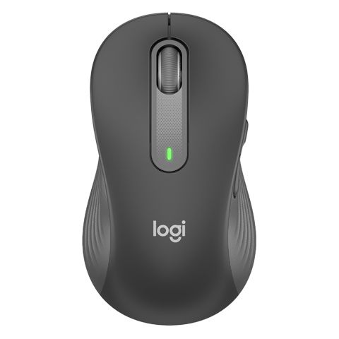 Logitech Signature M650 L Wireless/Bluetooth Mouse Graphite (910-006236) — Bakı