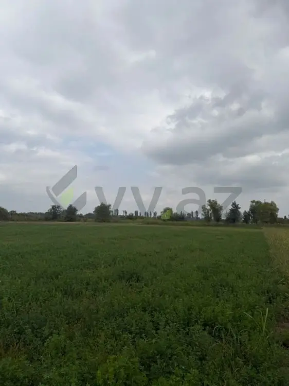 114 sot Torpaq Satılır, Xaçmaz — Torpaq, Xaçmaz (5)