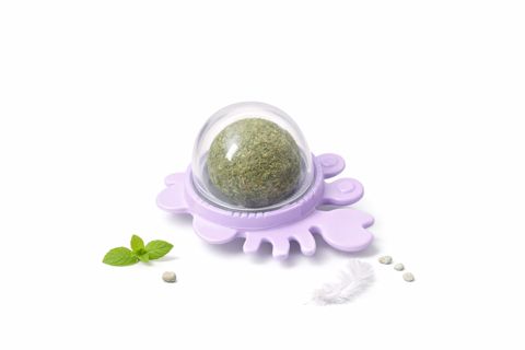 Pişik otu,20 qr — Bakı