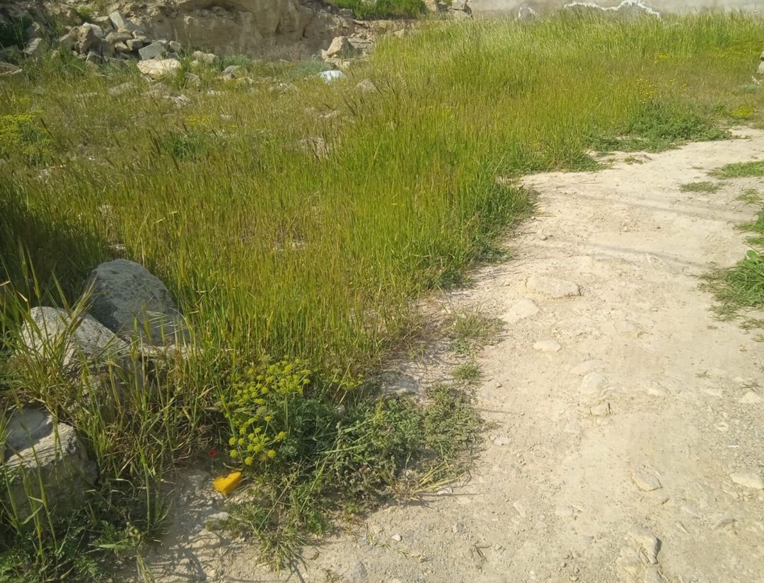 Satılır torpaq 6 sot — Torpaq, Bakı (3)