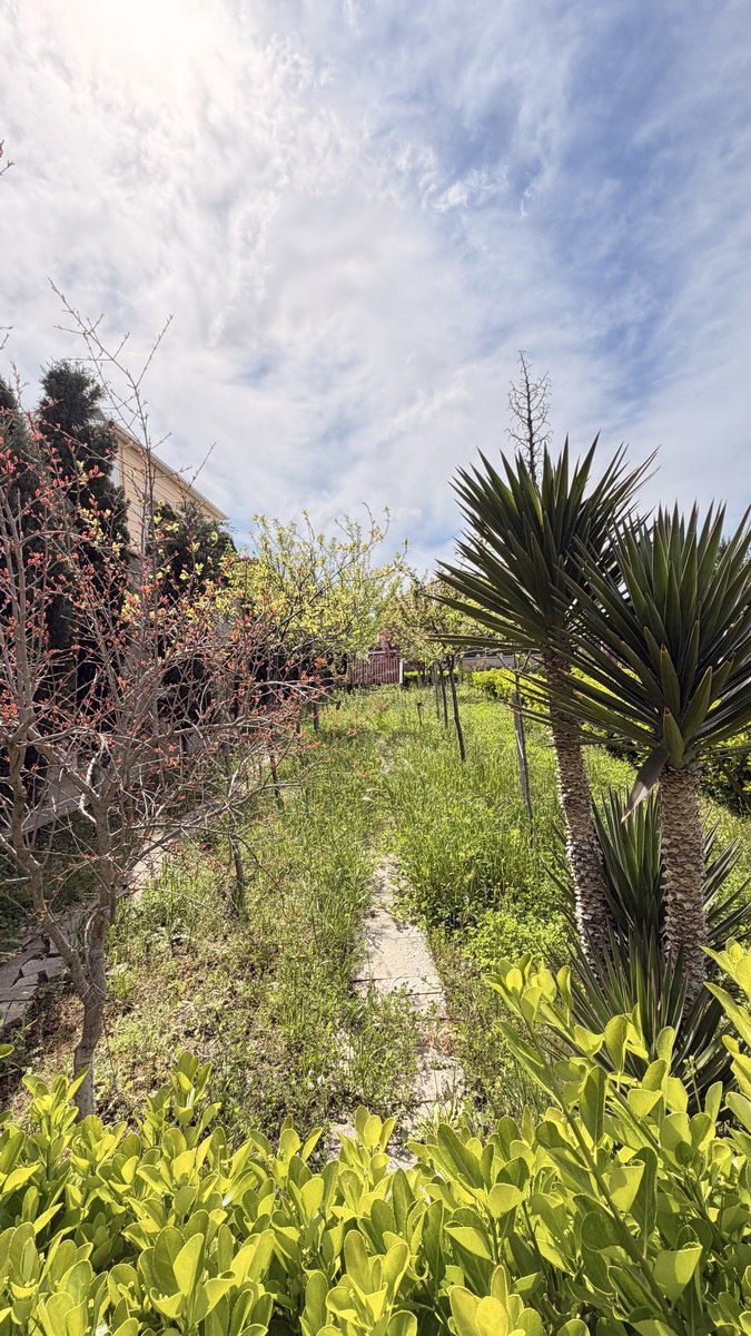 Satılır 4 otaqlı həyət evi/bağ evi 140 m² — Ev, villa, Bakı (6)