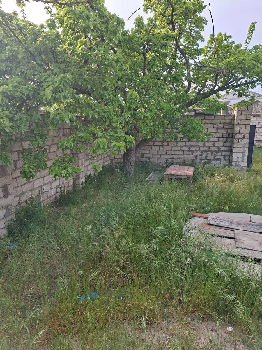 Satılır torpaq 12.5 sot — Torpaq, Bakı (4)