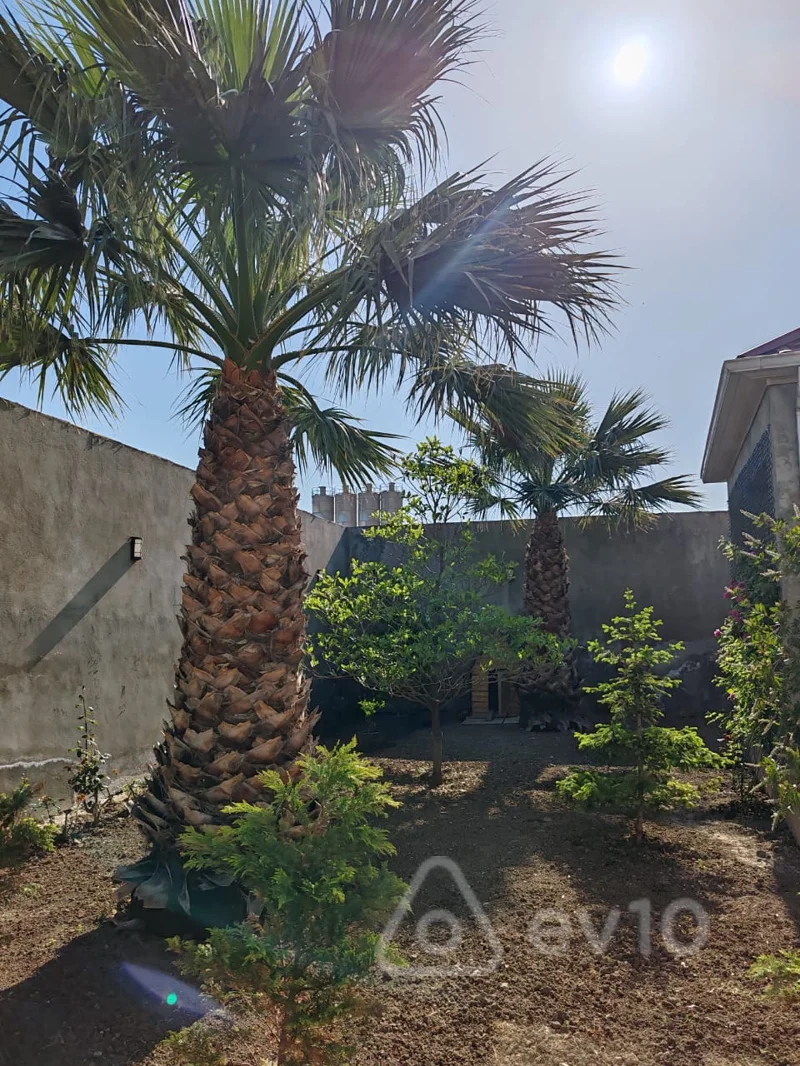8 otaqlı həyət evi, 530 m², M.Ə.Rəsulzadə qəs — Ev, villa, Bakı (8)