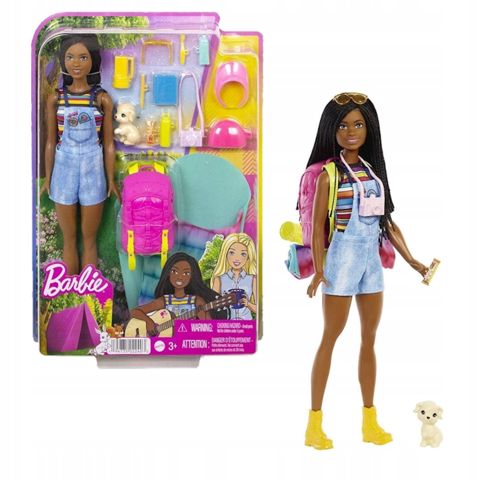Oyun dəsti Barbie HDF74 Family Camping Brooklyn Doll — Bakı