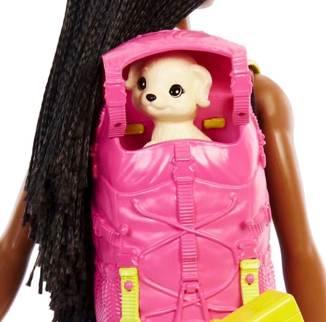 Oyun dəsti Barbie HDF74 Family Camping Brooklyn Doll — Mallar, Bakı (3)