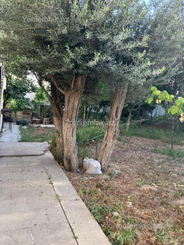 Satılır Torpaq sahəsi, 13 sot, Binəqədi rayonu — Torpaq, Bakı (3)