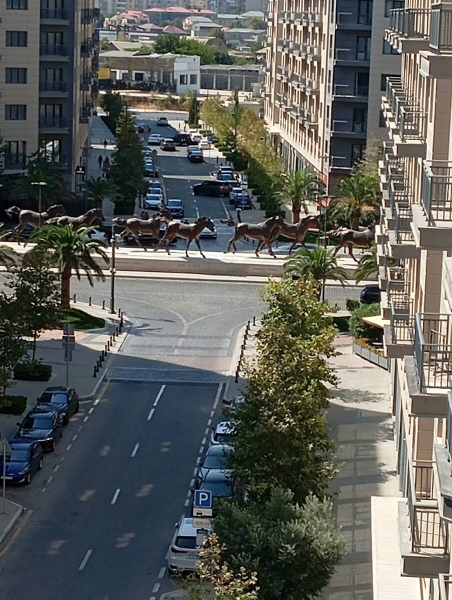 Satılır 4 otaqlı yeni tikili 215 m² — Mənzil, Bakı (2)