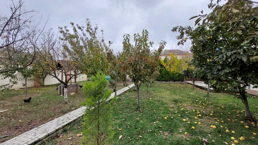 Satılır 5 otaqlı həyət evi/bağ evi 212 m² — Ev, villa, Bakı (7)